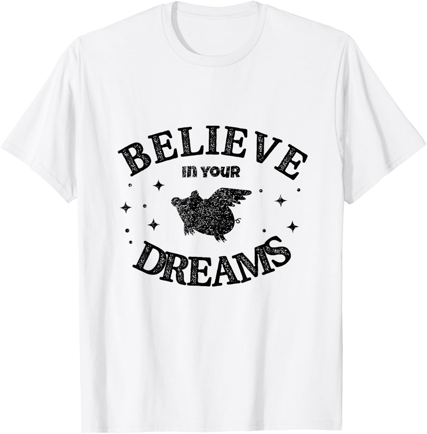 Believe in your Dreams Flying Pigs